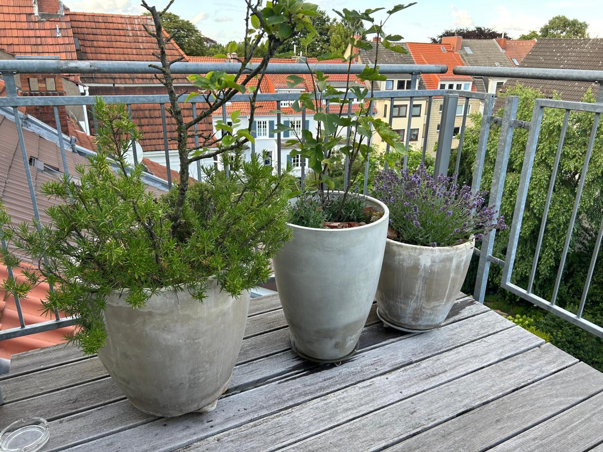Dachstudio Im Geteviertel - Citynah BRE 外观 照片